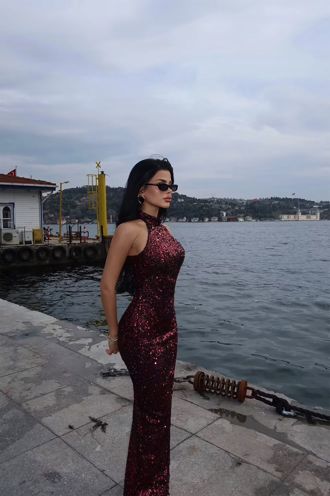 Elegant Glam Bodycon Dress With Sequins