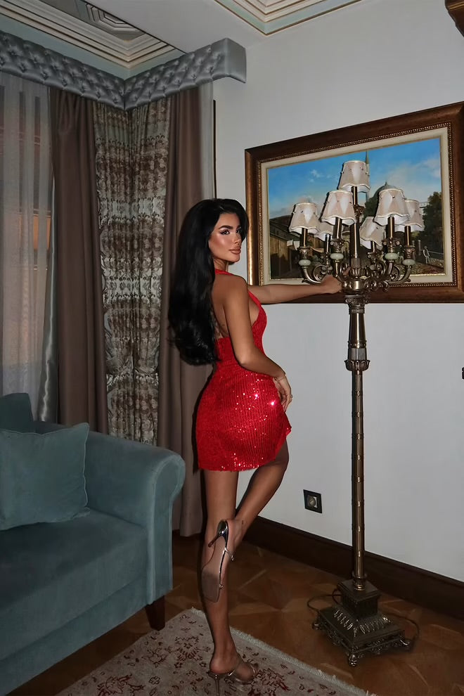 Claret Bodycon Mini Dress With Sequins