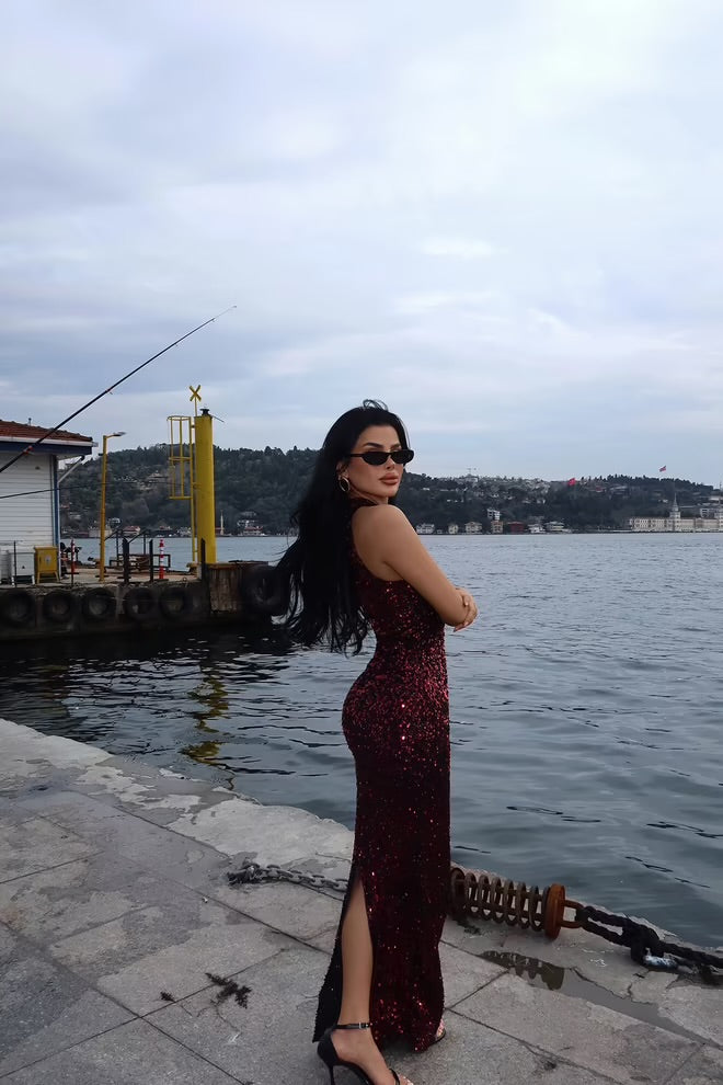 Elegant Glam Bodycon Dress With Sequins